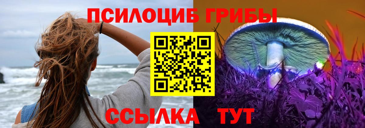 Галлюциногенные грибы прущие грибы Краснодар